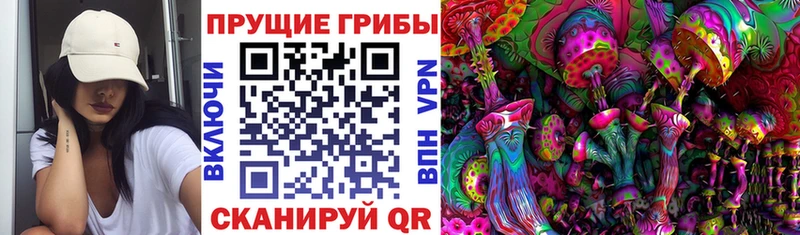 Купить  Переславль-Залесский  Галлюциногенные грибы мицелий 